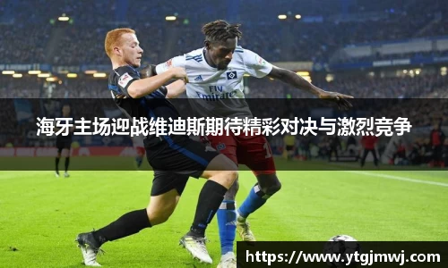 海牙主场迎战维迪斯期待精彩对决与激烈竞争